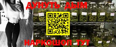 дживик Гай