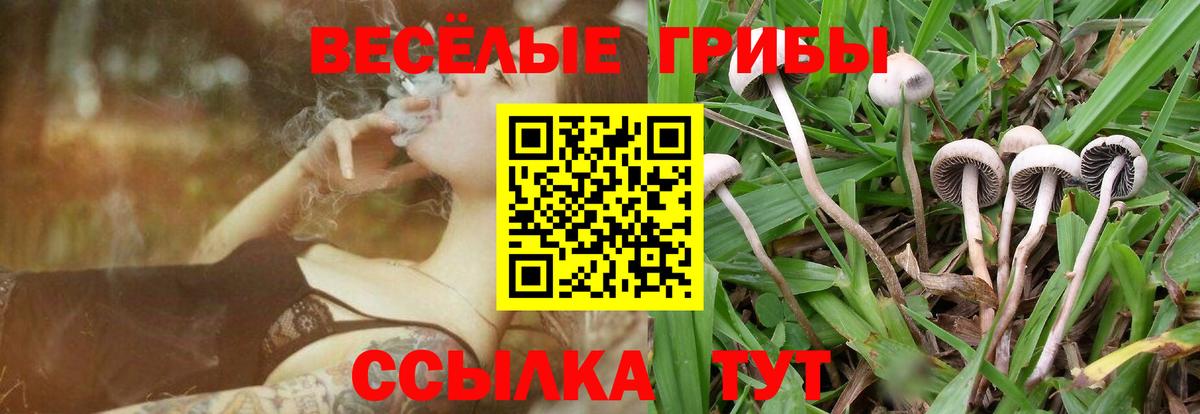 Галлюциногенные грибы Cubensis  Вход с VPN  Псилоцибиновые грибы Psilocybe  Нижний Новгород 