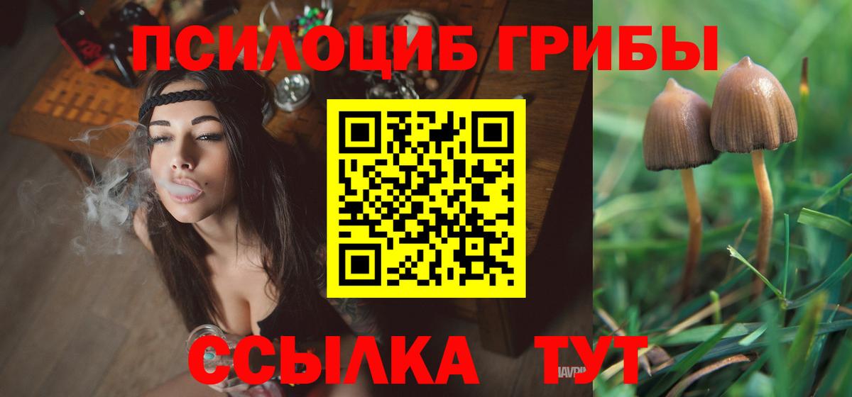 Галлюциногенные грибы мухоморы Нижний Новгород